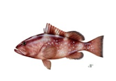 Screen Shot 2014 04 28 at 4.54.40 PM