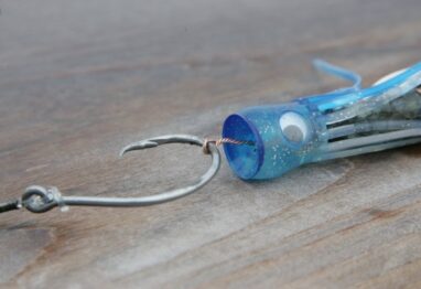 QR pic 5 e1407522718408