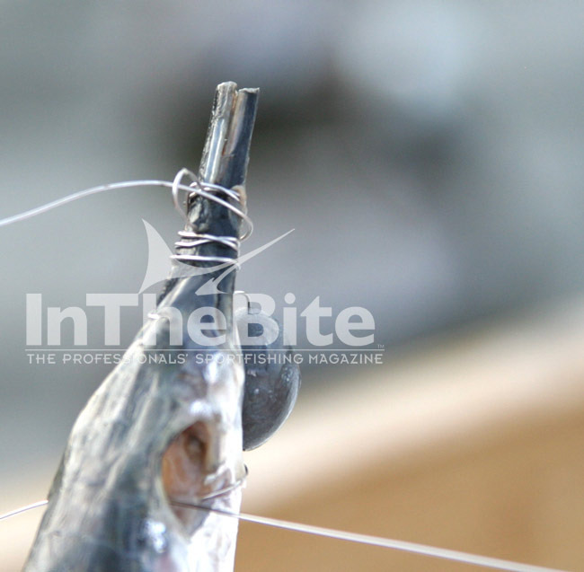 Next, take two wraps with monel in front of the quarter inch loop and then push the tag end through the loop, then back through the eye socket and back around and through the quarter inch loop again