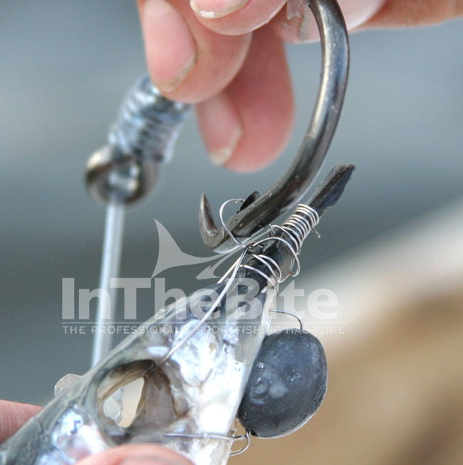 Finally, place the hook point into your loop, twist 180 degrees and you have completed the circle hook ballyhoo pitch bait