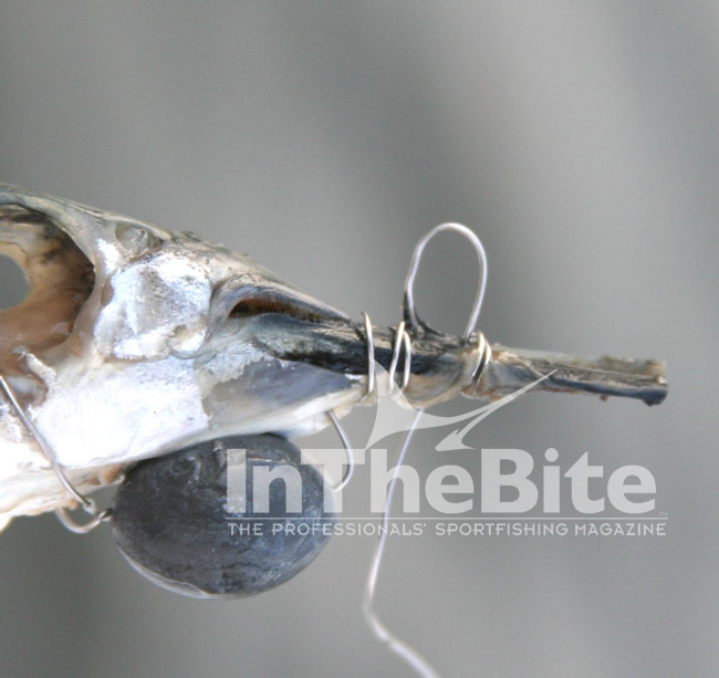 Next form a quarter inch loop as pictured