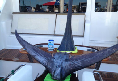 legtail e1409926069684