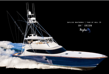 bayliss hull 16 84