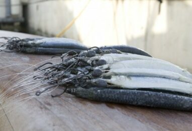 bally on cvrboard e1423248730795 1