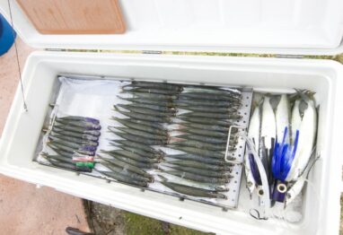 baitbox e1424277572878