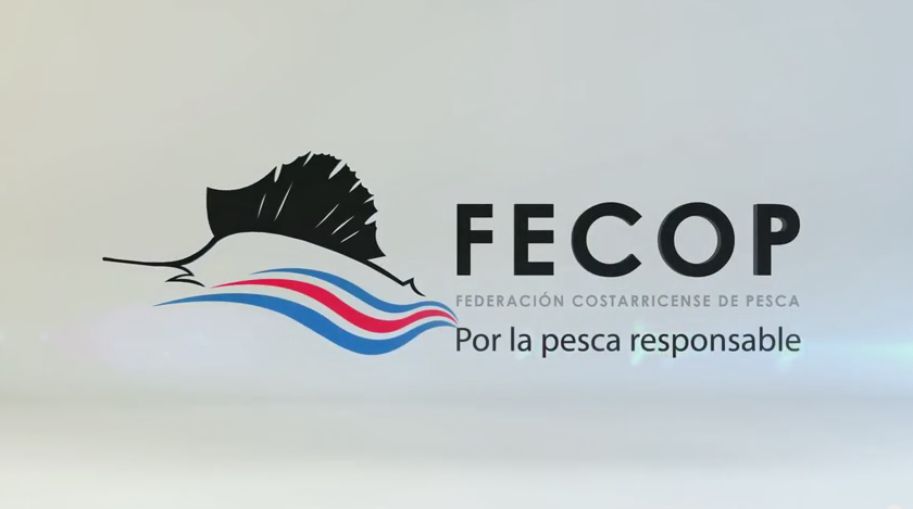 Screen Shot 2015 07 22 at 12.00.08 PM