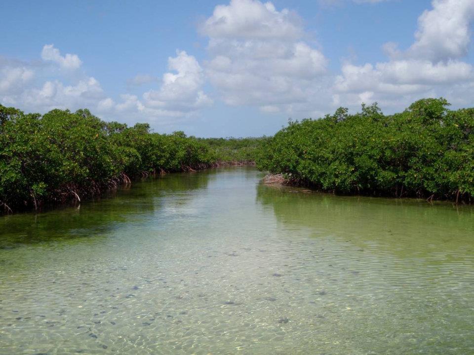 East Abaco Creek