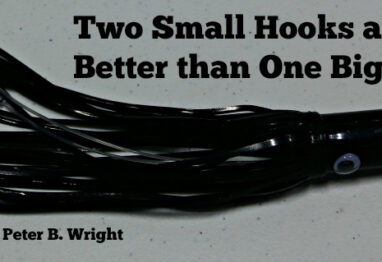 feature image peter b