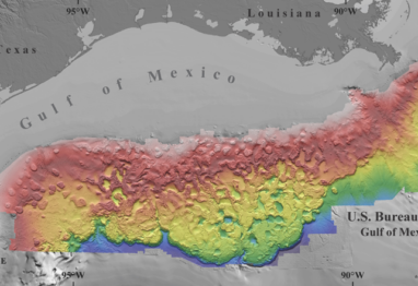 Feat gulf bottom GOM 1