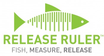 release ruler logo