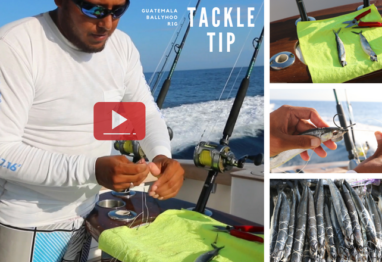 Tackle