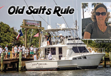 old salt ann feature img