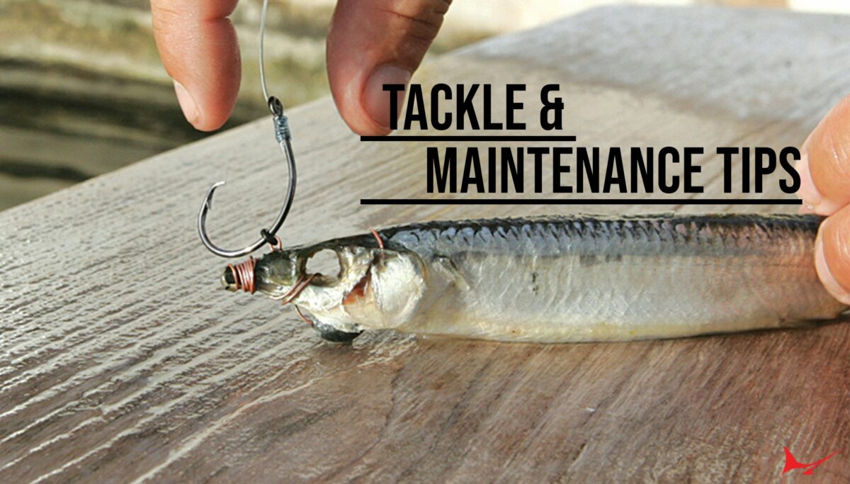 Untitled 3 1 scaled 1