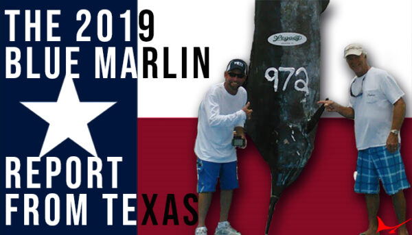 image of a texas flag with a blue marlin