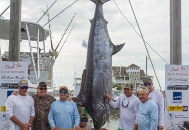 2018 Sea Toy 690.4 lb scaled 1