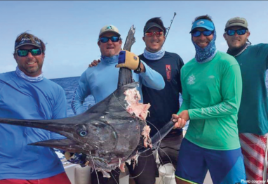 Screen Shot 2020 02 24 at 1.59.40 PM 1