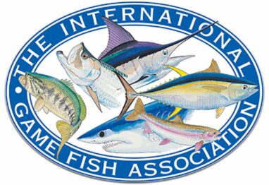 Untitled 1 4 scaled 1