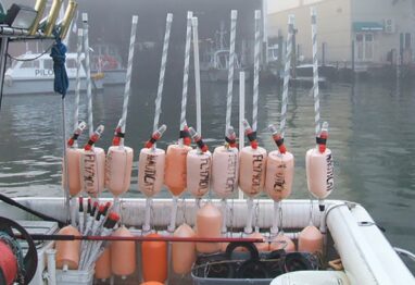 Untitled 2 1 scaled 2