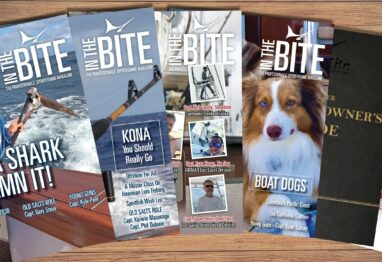 Untitled 2 11 scaled 1