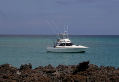 Untitled 1 27 scaled 2