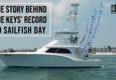 Main One with 70 sailfish flags