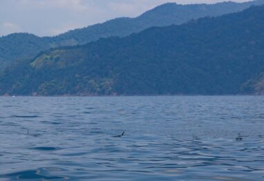 Untitled 2 6 scaled 1