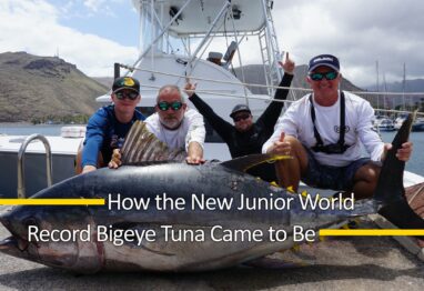 Untitled 1 13 scaled 1