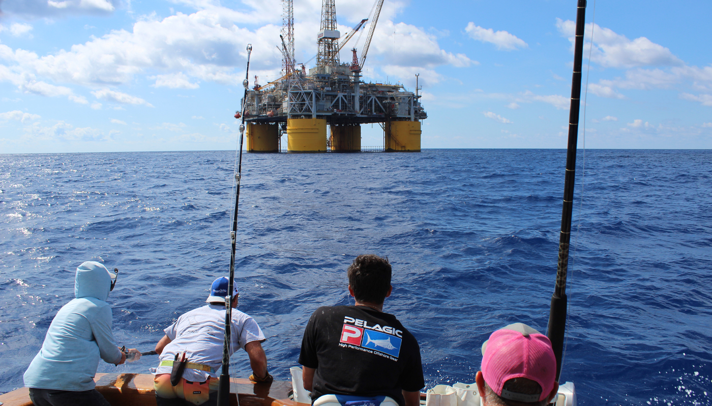 Bluefin, Blue Marlin and Hope for 2020 - InTheBite