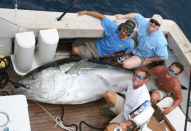 900 lb plus Tuna