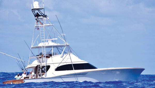 marlin darlin out on the water