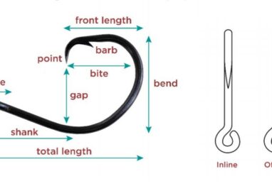 circle hook for striped bass