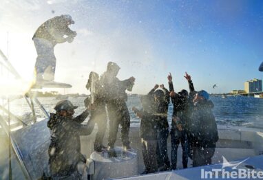 operation sailfish winning teams