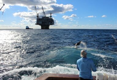 gulf coast fishing near rif