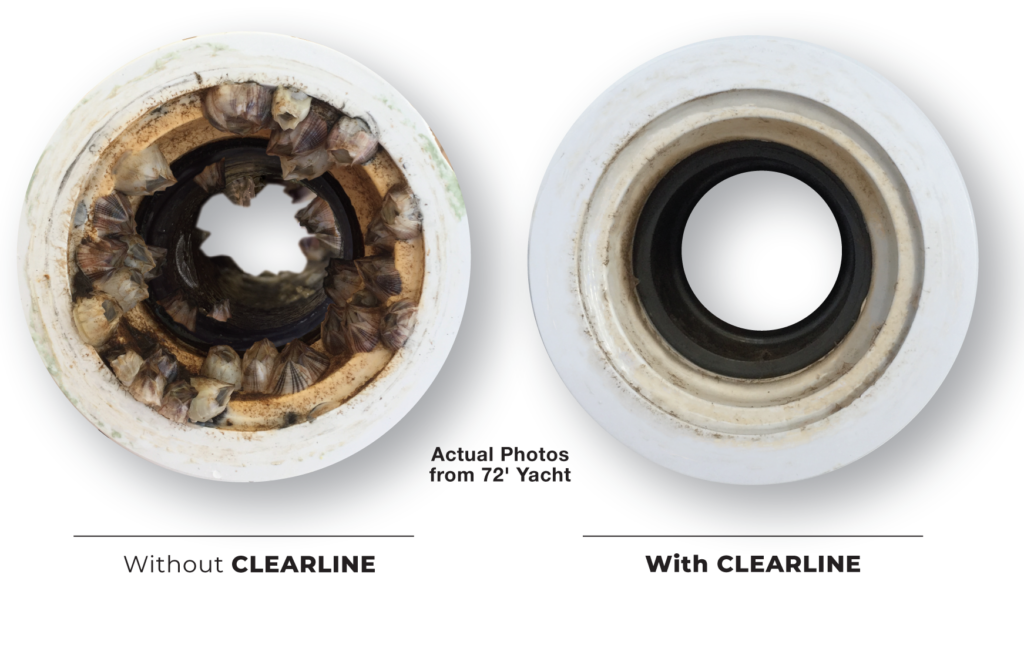 ES19 WITH AND WITHOUT CLEARLINE WHITE BKG