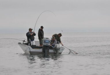california fishing