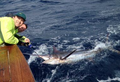 Swordfish 1 scaled 1