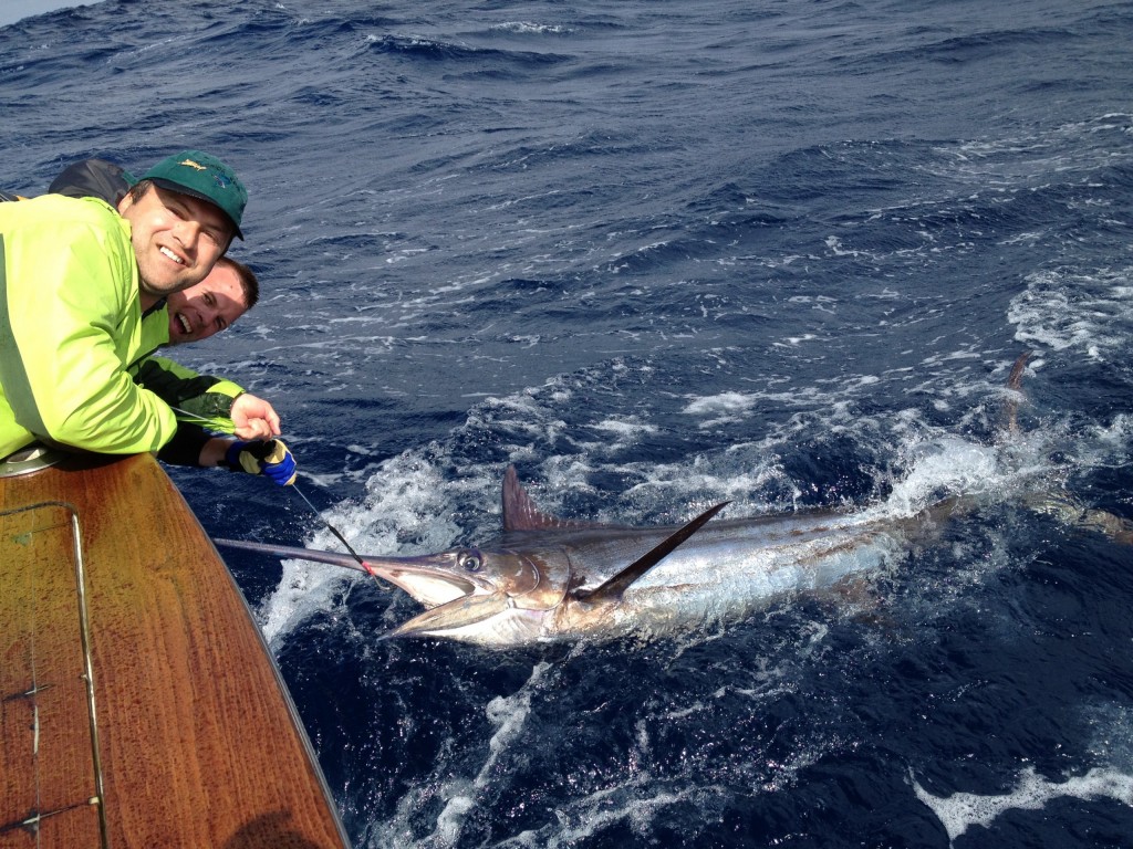 Swordfish 1 scaled