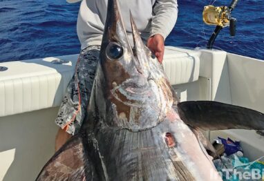 Untitled 1 17 scaled 1