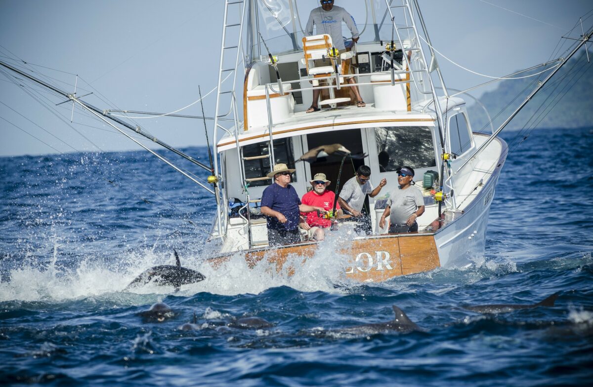 sportfishing boat going after tuna