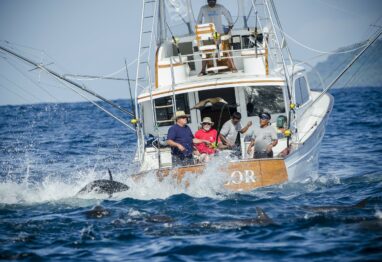 sportfishing boat going after tuna