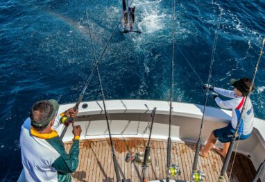 Daren Philipps on the Leader scaled 1