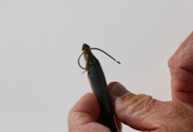 main pic 2 hook into itself scaled 1