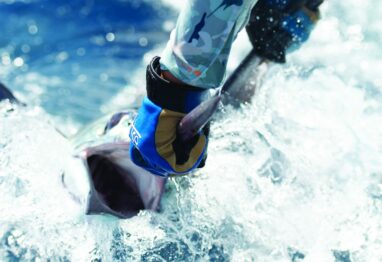 tools for catching billfish