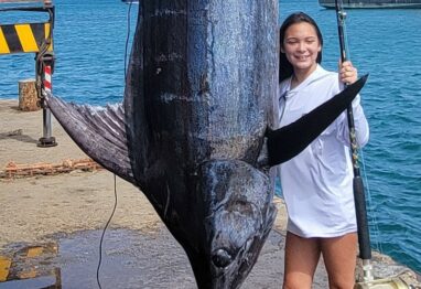 Screenshot 2022 06 27 134533