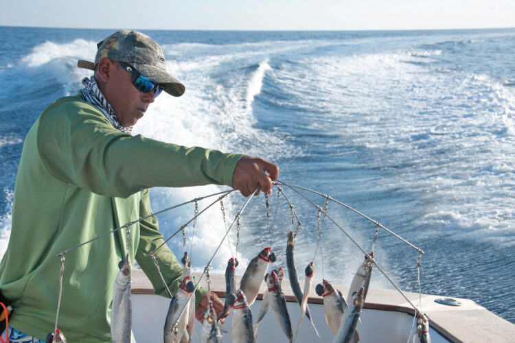 How To Using Effective Dredge Baits with Fire Tailz Inventor, Mike