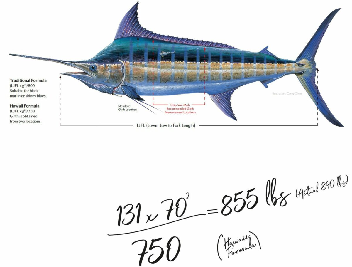 Fine Tuning The Marlin Weight Formula for More Accuracy