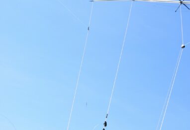 rigger blk red scaled 1