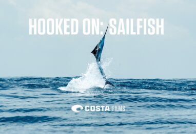Hooked on Sailfish Title Card scaled 1