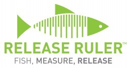 release ruler logo fish ruler e1513887978100