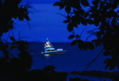 Dream Destinations Opener